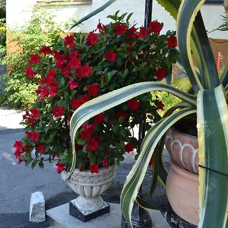 Appartement Gastehaus Maier Villach